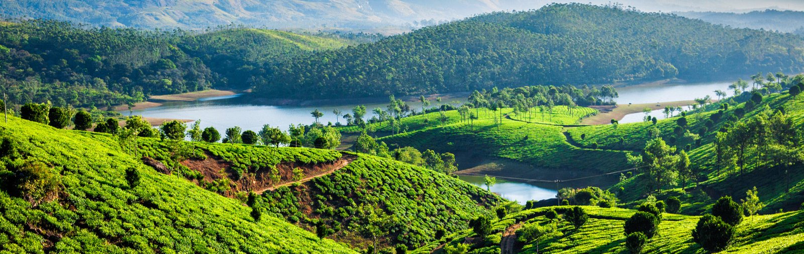 See Kashmir Travels - bg image