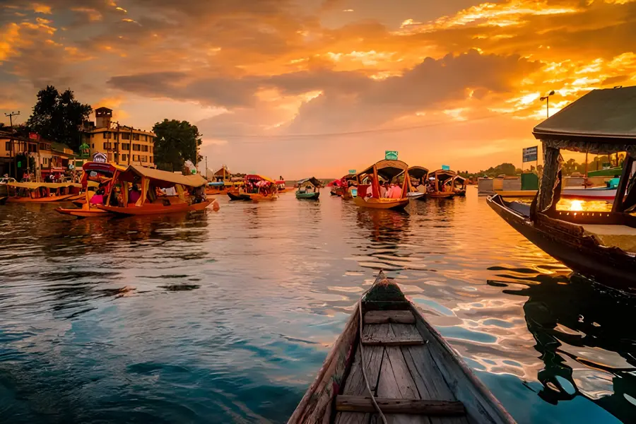 See Kashmir Travels - Gallery Image